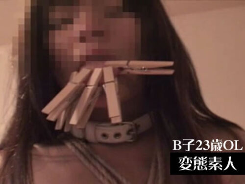 素人投稿 **されたい牝子分 PART.4　　B子23歳OL 同人動画