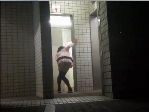 [女装]公園トイレでうんちおもらしローターオナ 同人動画