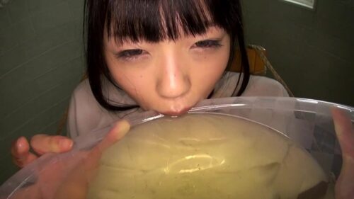 変態公衆便所タンツボ肉便器女 南梨央奈