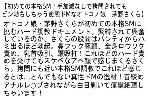 【お得セット】手加減なしで拷問されてもビン勃ちしちゃう変態ドMなオトコノ娘・肉便器志願のニューハーフ！・ニューハーフ・雌奴●化極限調教！