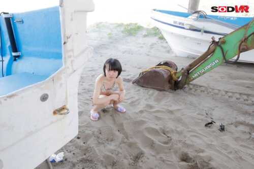 【VR】【高画質 追跡視点】海水浴場で見かけた家族と一緒にいる幸せな中●生を拉致して強●VR