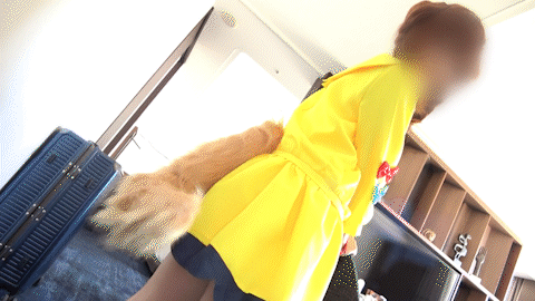 【ホ〇ライブ&#128286;犬●ころね】シリーズ最高傑作級神回！ド健全美少女レイヤー白石こよりちゃん（19歳）！実はドスケベ…ヨダレ垂らしアへ顔でザコイキを連発！ コスプレハード