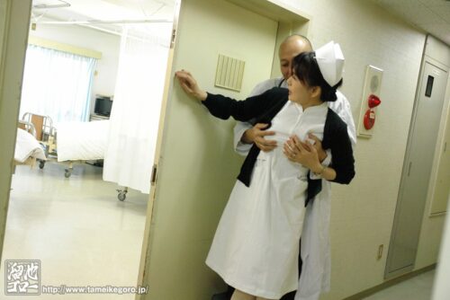 汚された母の白衣 三浦恵理子