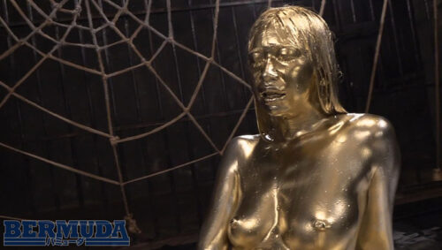 金粉大全集 参巻 トップ女優たちのエロく輝く共演 12人180分スペシャル