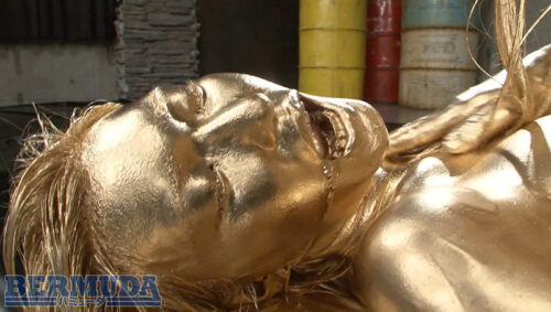 金粉大全集 参巻 トップ女優たちのエロく輝く共演 12人180分スペシャル