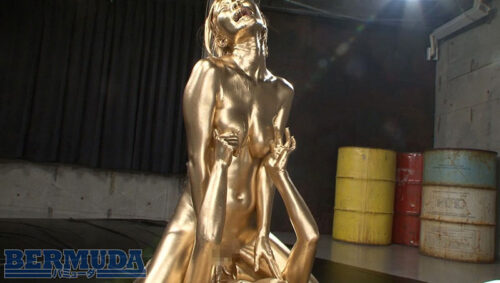 金粉大全集 参巻 トップ女優たちのエロく輝く共演 12人180分スペシャル