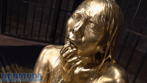 金粉大全集 参巻 トップ女優たちのエロく輝く共演 12人180分スペシャル