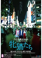 牝猫たち <R18版>