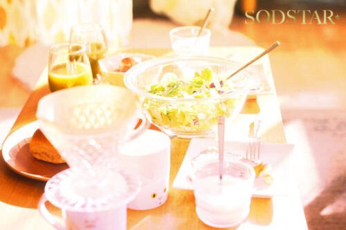 付き合ったばかりの鈴と始めた丁寧な暮らし 時にはスローに時には情熱的に絶倫彼女に翻弄されるセックスライフ 本庄鈴