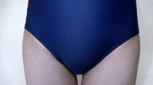 瀬戸ひなこ 濡れてテカってピッタリ密着 神スク水 可愛い女子のスクール水着姿をじっとりと堪能!着替え撮影から始まり貧乳から巨乳にパイパン、ハミ毛、ジョリワキ等のフェチ接写やローションソーププレイやスク水ぶっかけ等を完全着衣で楽しむAV