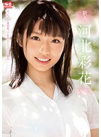 こんな美女がチンチンを【手コキ・足コキ・フェラ・パイズリ】で丁寧に激しく小悪魔的に射精(イカ)せてくれるSEXよりも気持ちいい天国ヌキテク100発