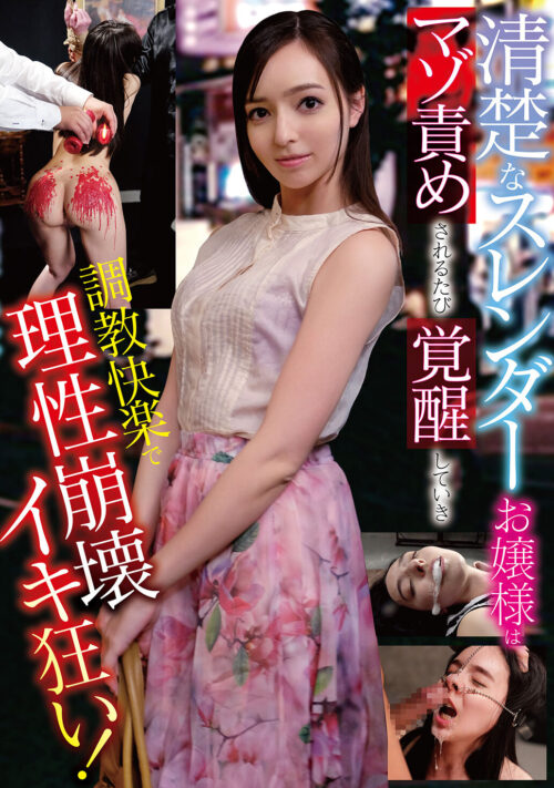 燃え上がる熟女の密着交尾5