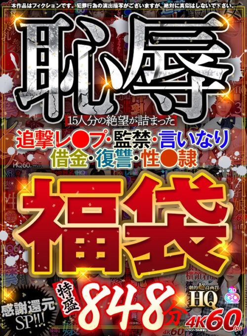 【VR】15人分の絶望が詰まった恥辱福袋 追撃レ●プ・監禁・言いなり・借金・復讐・性●隷 特盛848分