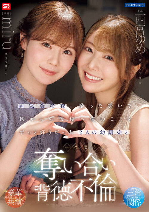 イケメンが熟女を部屋に連れ込んでSEXに持ち込む様子を盗撮したDVD。 10作品1413分