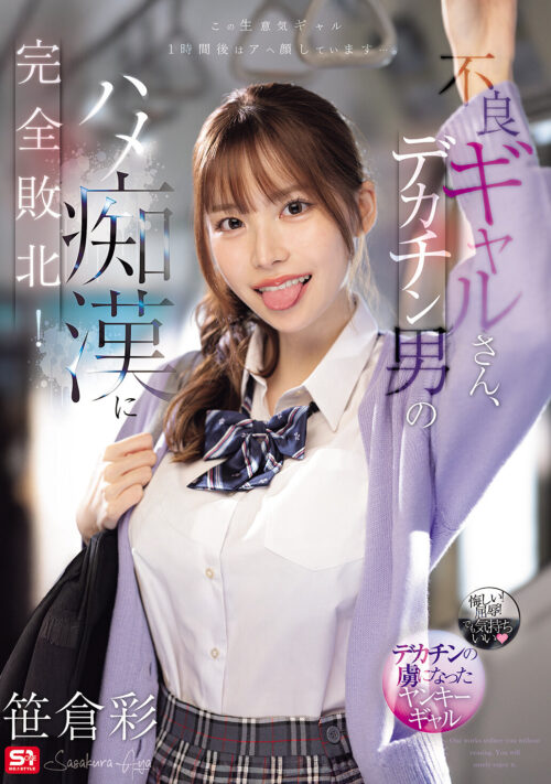 真夏に帰省したギャルグラドル幼馴染が都会仕込みの痴女テクで引きこもりの僕をヌキ倒してくれた 笹倉彩