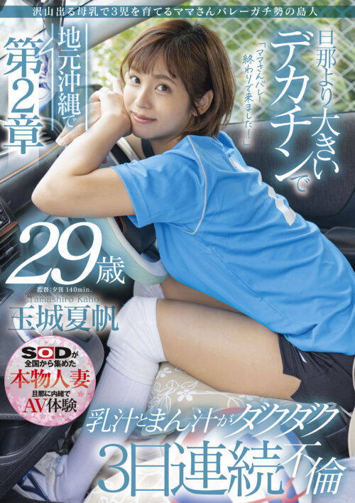 美熟女の完熟した肉体でM男を踏み潰す Wおばさんボディプレス特選