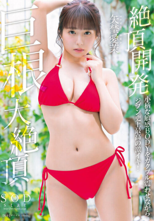矢埜愛茉 初総集編!芸能界からAV DEBUTしたSODSTARの20タイトル20SEX豪華10時間スペシャル