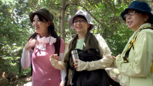 六十路熟女の膣に中出し9 昭和の熟女は輝いていた!