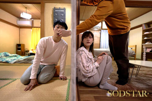 僕の住むアパートの隣室の美人妻は欲求不満だった。夫婦喧嘩で空いた直径10cmの壁穴越しに立ちバックで膣奥を突きまくった密かな不倫関係5日間。 青空ひかり