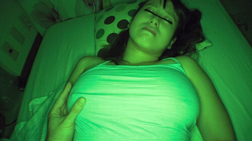 家族崩壊姉や妹や姪、あろうことか娘にまで夜●いして孕ませる鬼畜近親者投稿映像集16人4時間