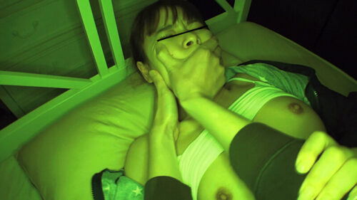 家族崩壊姉や妹や姪、あろうことか娘にまで夜●いして孕ませる鬼畜近親者投稿映像集16人4時間