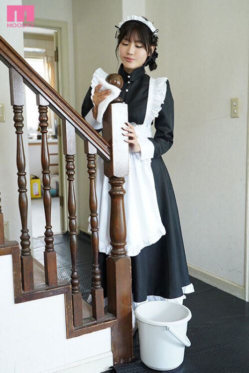 家事も何でもこなす完璧メイドが退屈しのぎに始めた遊びは主人(オレ)を耳元囁き誘惑すること… からかい上手なメイドの焦らし舐めに懇願中出ししまくった妻が不在の3日間。 神宮寺ナオ