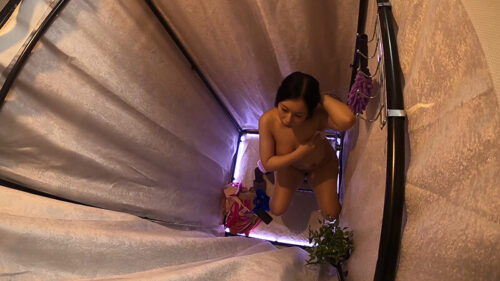 爆乳すぎるむっちむちおねえさんのお着替え