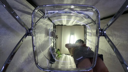 かわいい系のおねえさんがオナニー