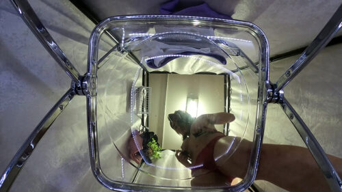 小麦色の肌がエロいおねえさんのお着替え