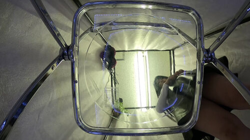 おわん型デカパイOLのお着替え