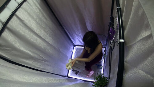 アニメ美女体型のおねえさんのお着替え