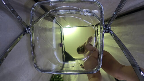 アニメ美女体型のおねえさんのお着替え