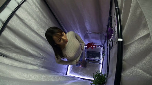 ちょっと地味系かも?清楚系のおねえさん、脱ぐとエロ下着!