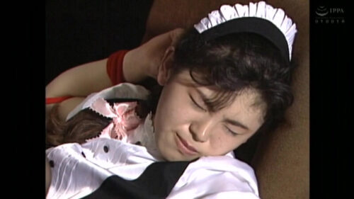 大人のAVベストセレクション vol.43 ハイクオリティSMドラマ編 9作品本編まるごと収録