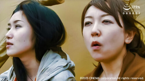 名作 ネコとタチ 愛と欲望・狂乱の女たち