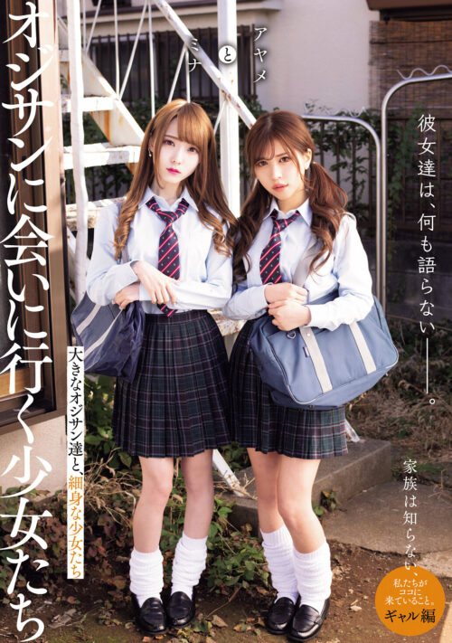 巨乳、美乳、制服少女3人組―――。 オジサンに会いに行く少女たち 従順肉便器編 あかり&あも&いくら