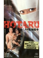 カバーガール 深夜番組の天使たち