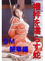 襦袢を濡らす蛇-SM開華編-
