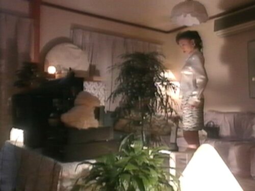 のぞき屋稼業 8 夢犯遊戯