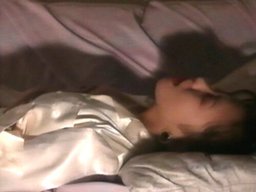 のぞき屋稼業 8 夢犯遊戯