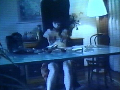 のぞき屋稼業 8 夢犯遊戯