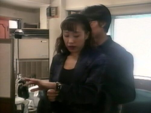 のぞき屋稼業 8 夢犯遊戯