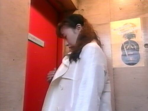 のぞき屋稼業 8 夢犯遊戯