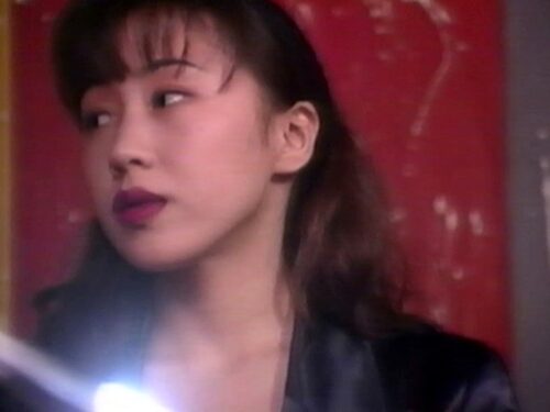 のぞき屋稼業 8 夢犯遊戯