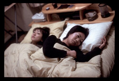 姉妹 淫乱な密戯