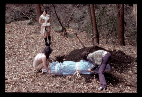 姉妹 淫乱な密戯