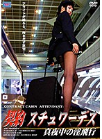 女教師 ジョンアとミンヒョ (吹き替え)