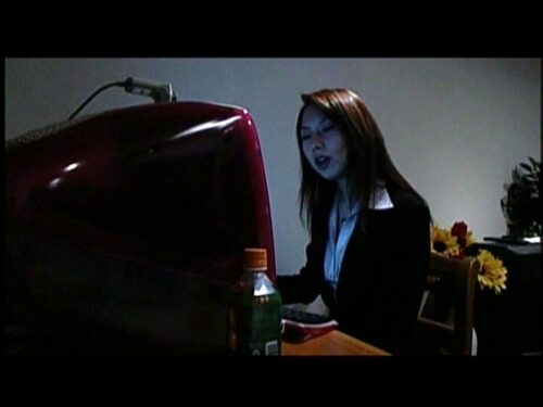 個人情報 ファイルデータ(職業別) ●校教師・23歳・女性