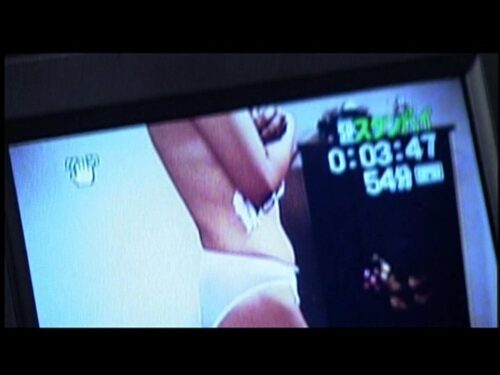 個人情報 ファイルデータ(職業別) ●校教師・23歳・女性