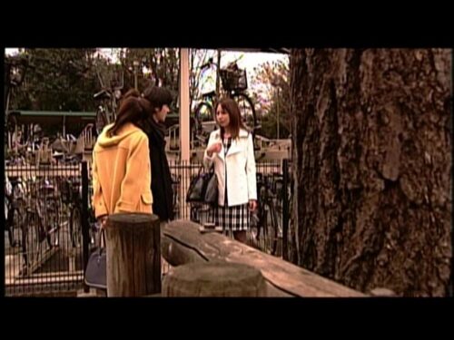 個人情報 ファイルデータ(職業別) ●校教師・23歳・女性